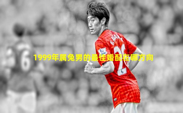 1999年属兔男的最佳婚配在哪方向