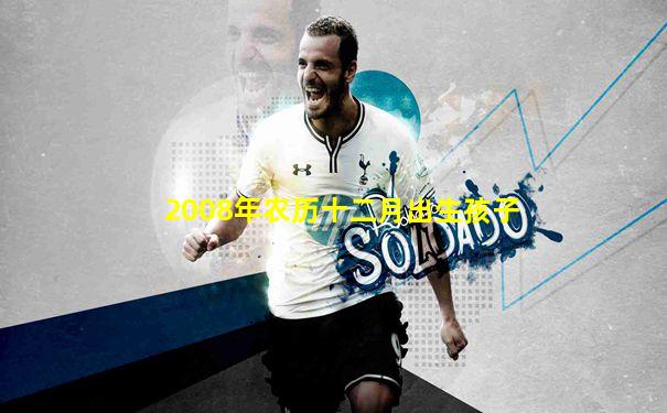 2008年农历十二月出生孩子
