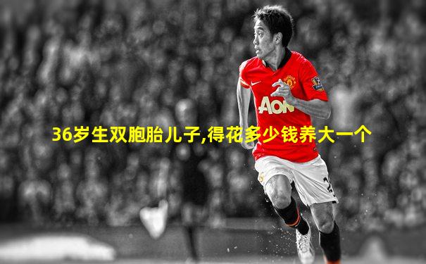 36岁生双胞胎儿子,得花多少钱养大一个