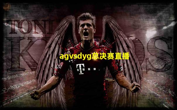 agvsdyg总决赛直播