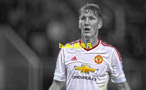 b.m.吴亦凡