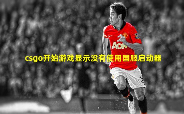 csgo开始游戏显示没有使用国服启动器