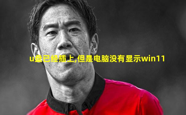 u盘已经插上,但是电脑没有显示win11