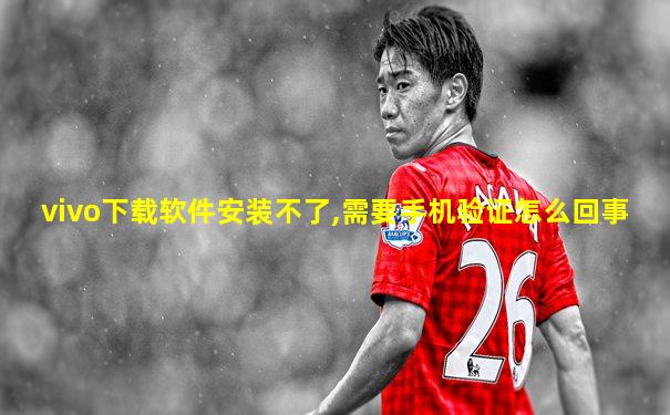 vivo下载软件安装不了,需要手机验证怎么回事