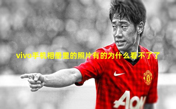 vivo手机相册里的照片有的为什么看不了了