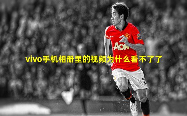 vivo手机相册里的视频为什么看不了了
