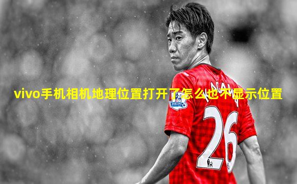 vivo手机相机地理位置打开了怎么也不显示位置