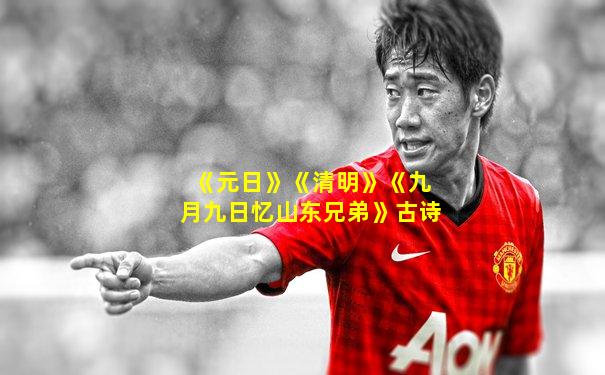 《元日》《清明》《九月九日忆山东兄弟》古诗