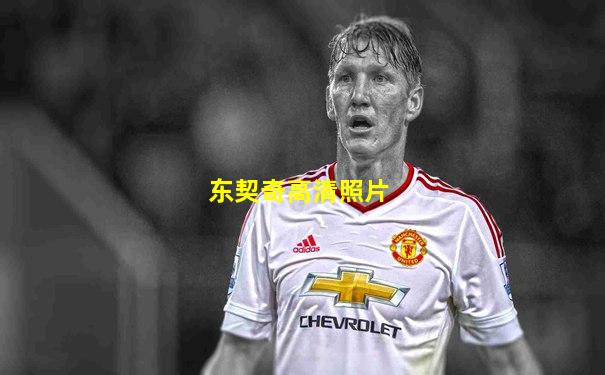 东契奇高清照片