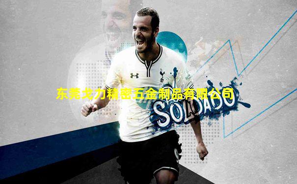 东莞戈力精密五金制品有限公司