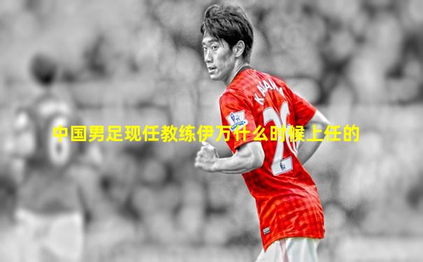 中国男足现任教练伊万什么时候上任的