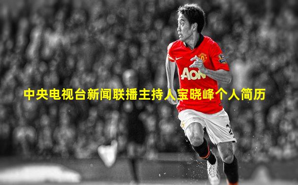 中央电视台新闻联播主持人宝晓峰个人简历