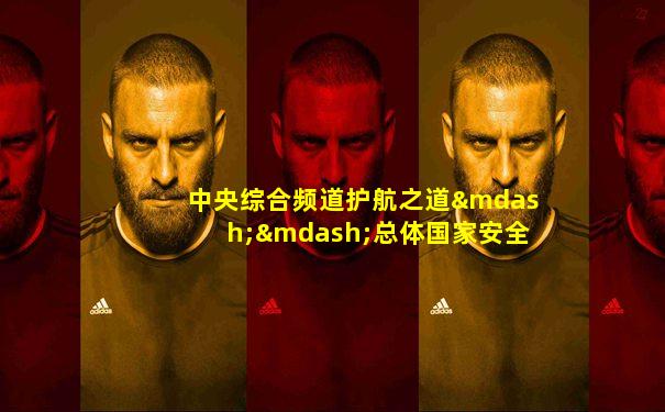 中央综合频道护航之道——总体国家安全观纵横