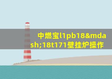 中燃宝l1pb18—18t171壁挂炉操作