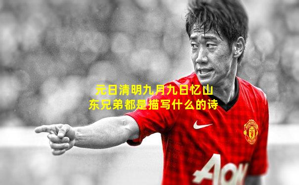 元日清明九月九日忆山东兄弟都是描写什么的诗