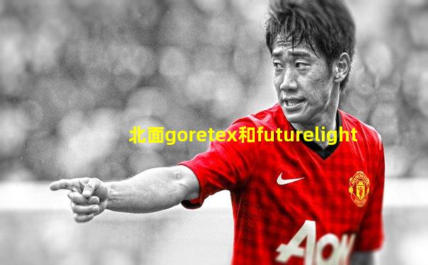北面goretex和futurelight