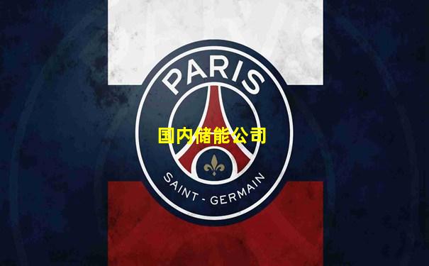 国内储能公司