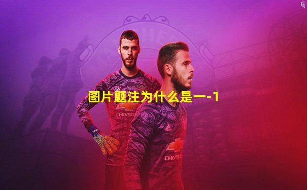 图片题注为什么是一-1