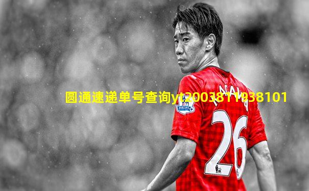 圆通速递单号查询yt2003811938101