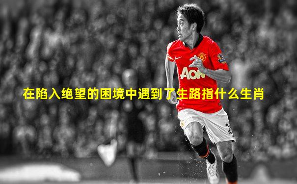 在陷入绝望的困境中遇到了生路指什么生肖