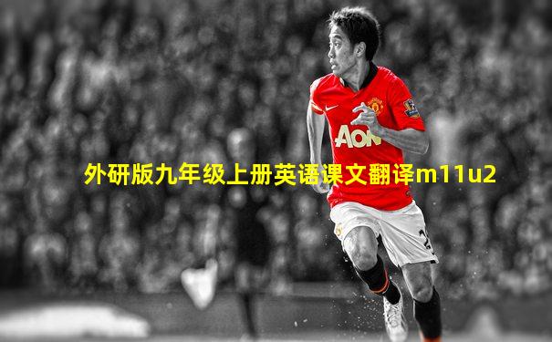 外研版九年级上册英语课文翻译m11u2