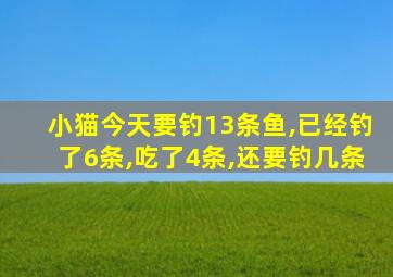 小猫今天要钓13条鱼,已经钓了6条,吃了4条,还要钓几条