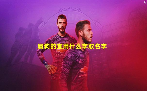 属狗的宜用什么字取名字