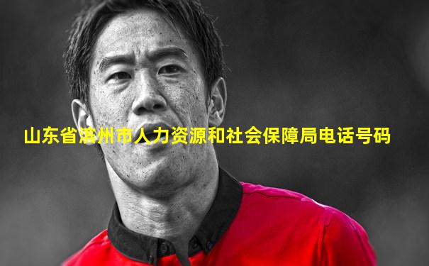 山东省滨州市人力资源和社会保障局电话号码