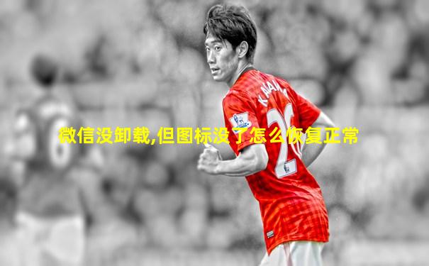 微信没卸载,但图标没了怎么恢复正常