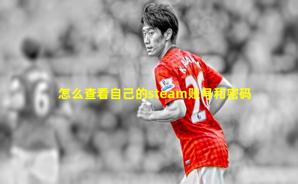 怎么查看自己的steam账号和密码