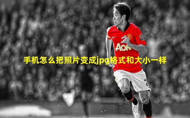 手机怎么把照片变成jpg格式和大小一样