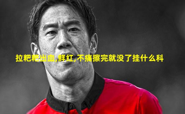 拉粑粑出血,鲜红,不痛擦完就没了挂什么科
