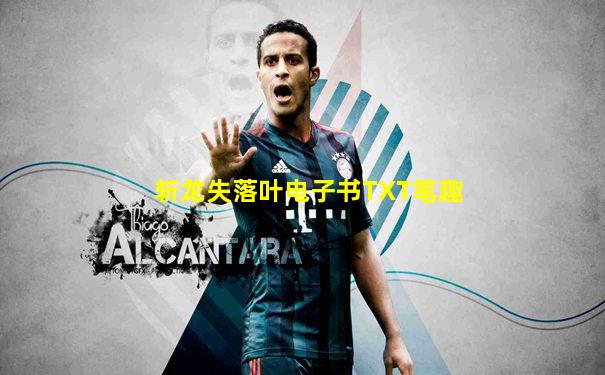 斩龙失落叶电子书TXT笔趣