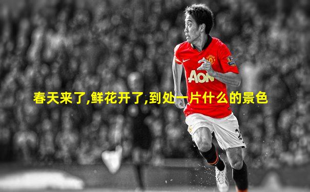 春天来了,鲜花开了,到处一片什么的景色