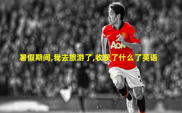 暑假期间,我去旅游了,收获了什么了英语
