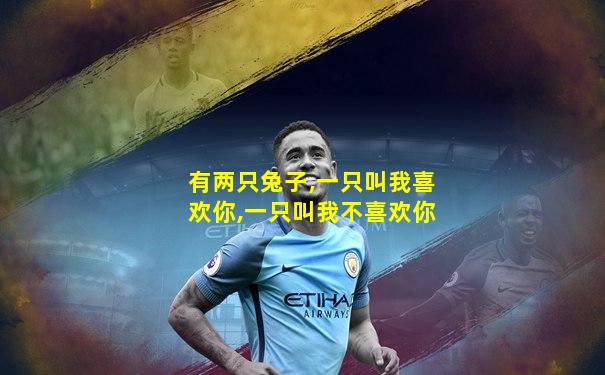 有两只兔子,一只叫我喜欢你,一只叫我不喜欢你