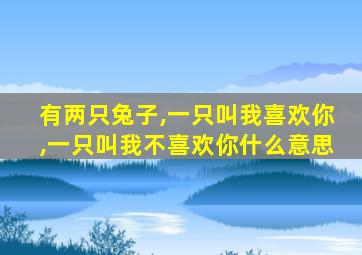 有两只兔子,一只叫我喜欢你,一只叫我不喜欢你什么意思