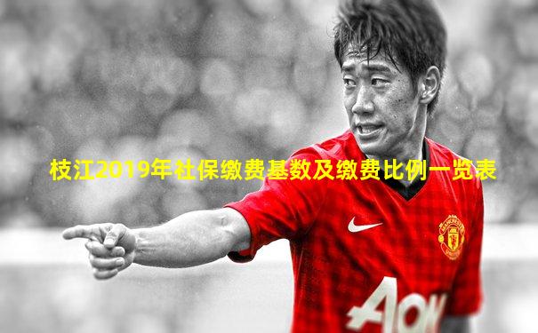枝江2019年社保缴费基数及缴费比例一览表