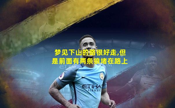 梦见下山的路很好走,但是前面有两条狼堵在路上