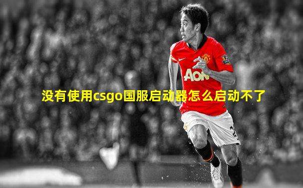 没有使用csgo国服启动器怎么启动不了