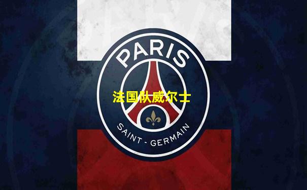 法国队威尔士
