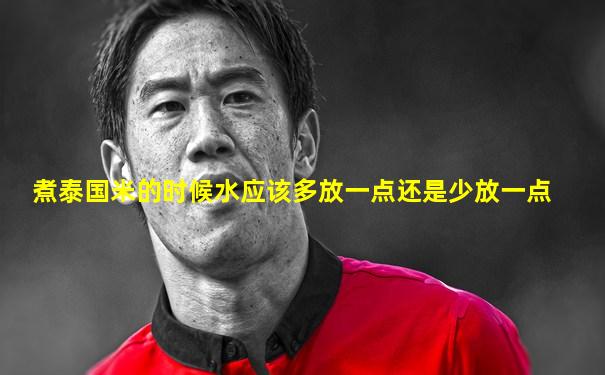 煮泰国米的时候水应该多放一点还是少放一点