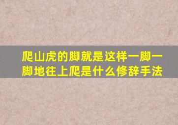 爬山虎的脚就是这样一脚一脚地往上爬是什么修辞手法