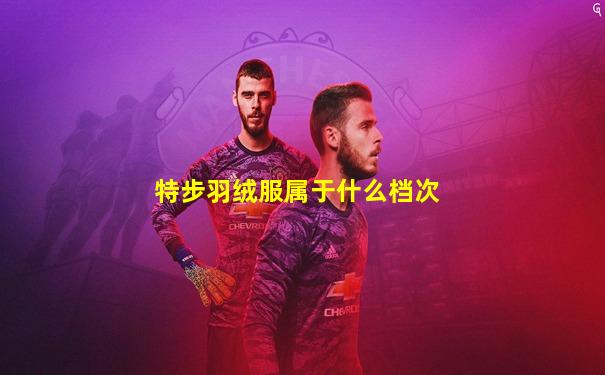 特步羽绒服属于什么档次