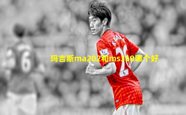玛吉斯ma202和ms360哪个好