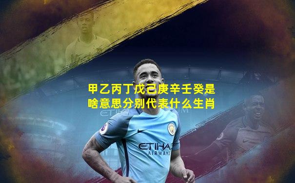 甲乙丙丁戊己庚辛壬癸是啥意思分别代表什么生肖