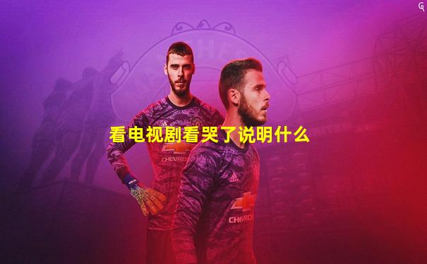 看电视剧看哭了说明什么