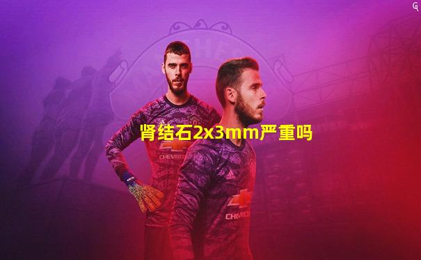 肾结石2x3mm严重吗