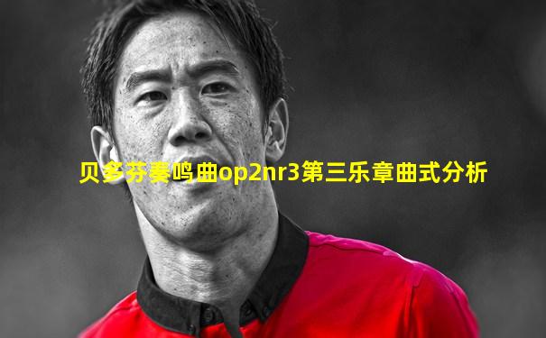贝多芬奏鸣曲op2nr3第三乐章曲式分析