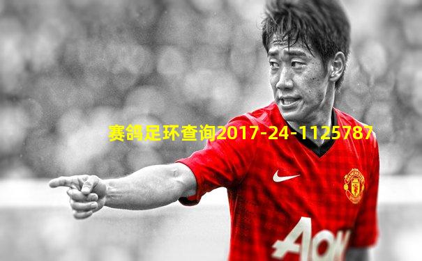 赛鸽足环查询2017-24-1125787